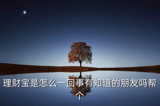 海通理財(cái)寶是什么，理財(cái)寶是什么求好的來介紹呢謝謝