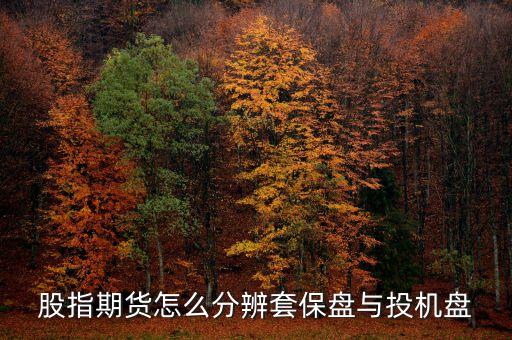 股指期貨怎么分辨套保盤與投機(jī)盤
