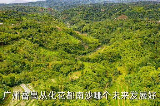 南沙為什么不如前海，廣州南沙比橫琴前海優(yōu)勢在哪不明白