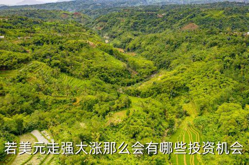 美元走強做什么好，美元走高對什么股有利