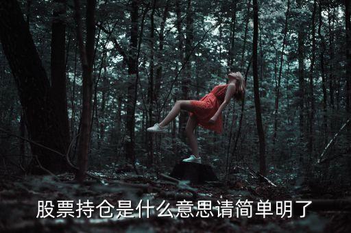 股票的持倉(cāng)是什么意思，股票持倉(cāng)是什么意思請(qǐng)簡(jiǎn)單明了