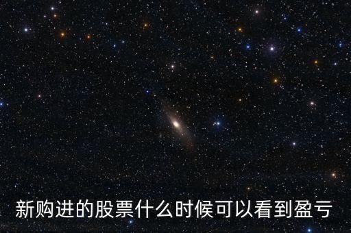 新購(gòu)進(jìn)的股票什么時(shí)候可以看到盈虧