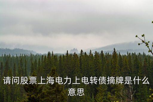 債券摘牌什么意思，天房發(fā)展摘牌公告什么意思
