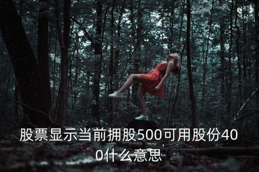 股票顯示當前擁股500可用股份400什么意思