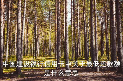 中國建設銀行信用卡中關于最低還款額是什么意思