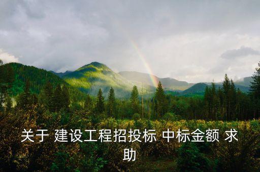 中標(biāo)金額是什么，關(guān)于 建設(shè)工程招投標(biāo) 中標(biāo)金額 求助