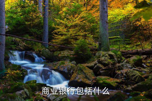 雨果獎(jiǎng)是什么，商業(yè)銀行包括什么