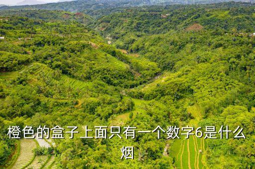 橙色煙盒就一個6字什么煙，橙色的盒子上面只有一個數字6是什么煙