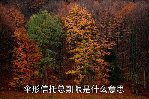 傘形信托的杠桿比例是什么意思，傘形信托總期限是什么意思