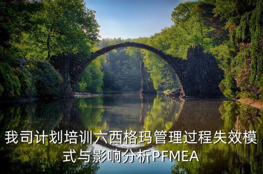 我司計(jì)劃培訓(xùn)六西格瑪管理過程失效模式與影響分析PFMEA