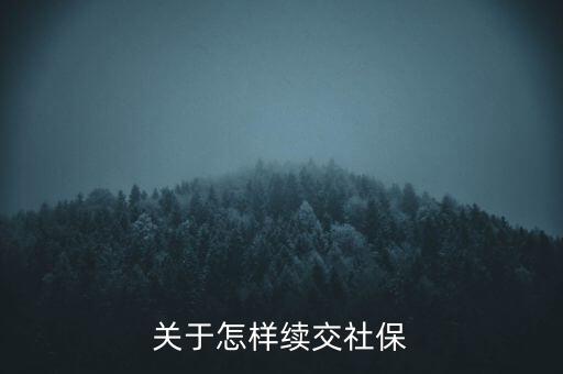 關于怎樣續(xù)交社保