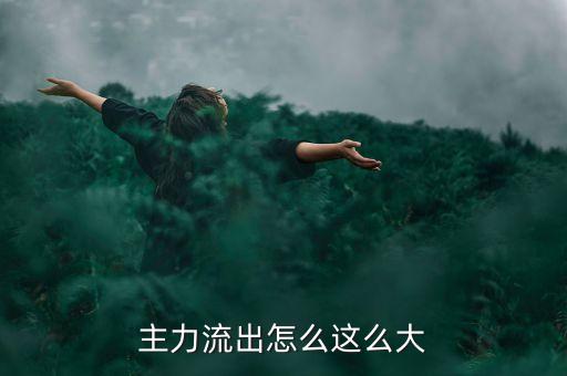 主力建倉(cāng)為什么主力資金大量流出，為什么主力拉抬一只股票上漲主力資金還流出呢不是只是流入嗎