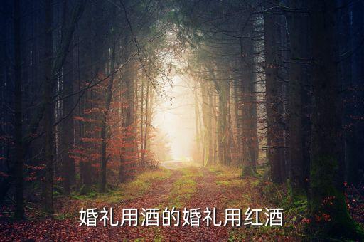 露卡美是什么，露卡是什么