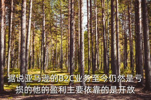 據(jù)說(shuō)亞馬遜的B2C業(yè)務(wù)至今仍然是虧損的他的盈利主要依靠的是開(kāi)放