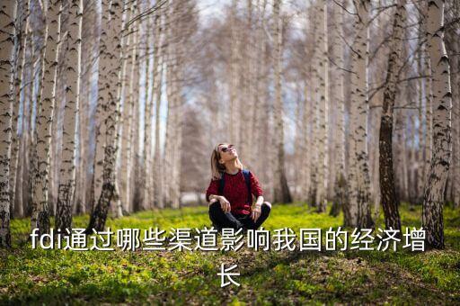 服務(wù)業(yè)fdi是什么意思，簡述國際服務(wù)貿(mào)易的特征
