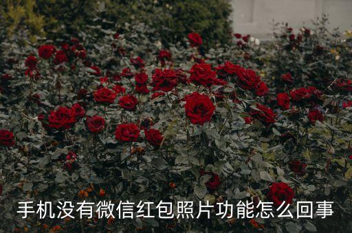 為什么沒(méi)有微信紅包照片，我的手機(jī)怎么沒(méi)有微信紅包照片