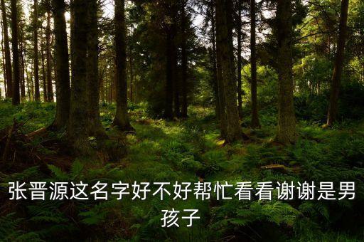 張晉源什么意思，sotong是什么意思