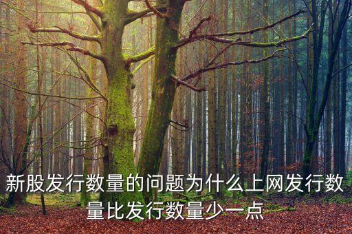 新股發(fā)行數(shù)量的問題為什么上網(wǎng)發(fā)行數(shù)量比發(fā)行數(shù)量少一點(diǎn)