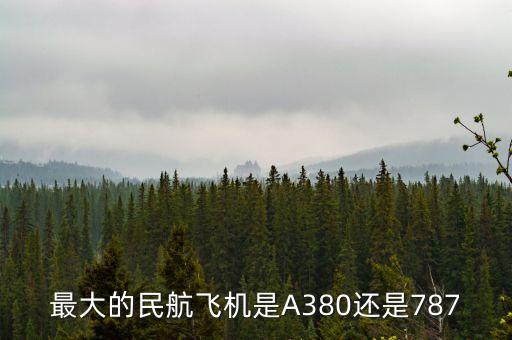 我國民航什么飛機(jī)最大，最大的民航飛機(jī)是A380還是787