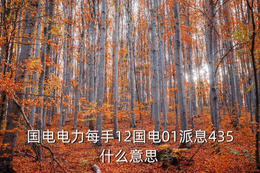 每手14派息56元什么，每手12國電o4派息435元什么意思