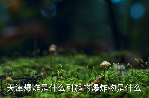 天津爆炸是什么，天津爆炸是什么東西爆炸了