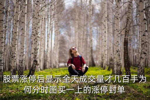 封單少10萬手什么意思，逾29萬手封單封住跌停是什么意思