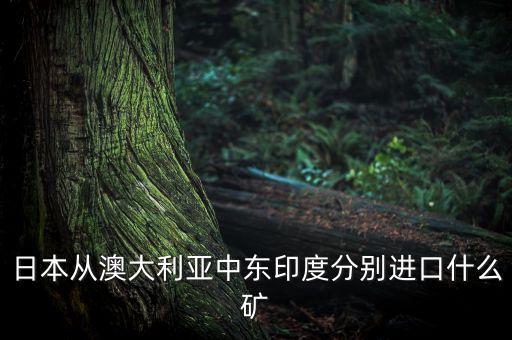 日本從澳大利亞中東印度分別進口什么礦