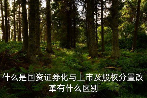 什么是國(guó)資證券化與上市及股權(quán)分置改革有什么區(qū)別