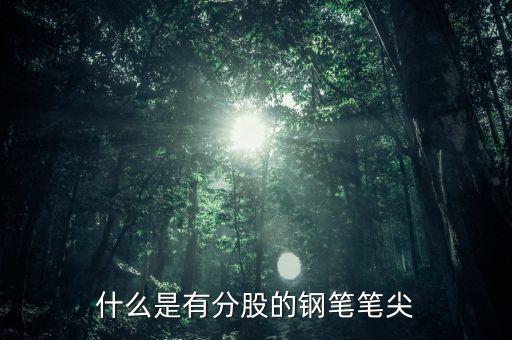 鋼筆頭分股是什么樣的，什么是有分股的鋼筆筆尖