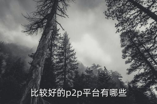 什么p2p平臺比較靠譜，請問國內(nèi)P2P平臺哪家比較安全可靠點想了解下