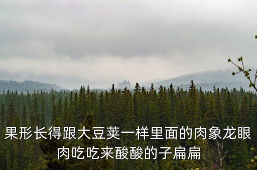 果形長(zhǎng)得跟大豆莢一樣里面的肉象龍眼肉吃吃來(lái)酸酸的子扁扁
