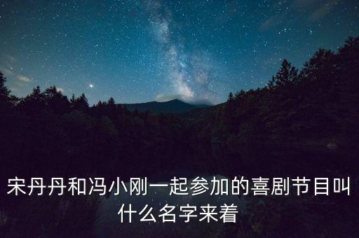 宋丹丹馮小剛的評委節(jié)目是什么，歡樂喜劇人評委都有誰