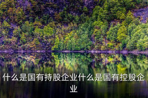 國開持股是什么意思，持股是什么新手呵呵