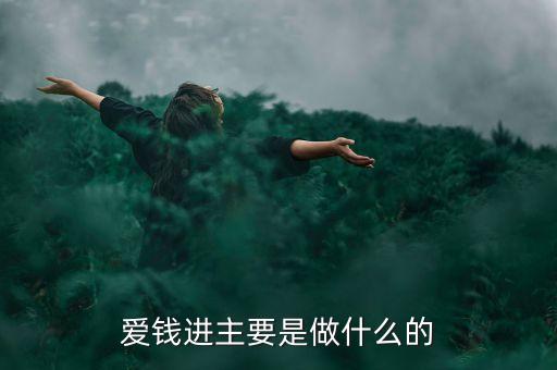 愛錢進(jìn)主要是做什么的