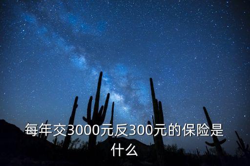 每年交3000元反300元的保險是什么