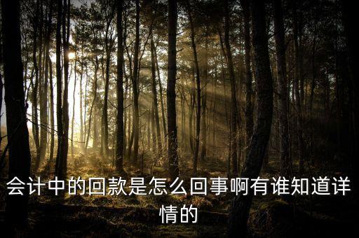 會計中的回款是怎么回事啊有誰知道詳情的