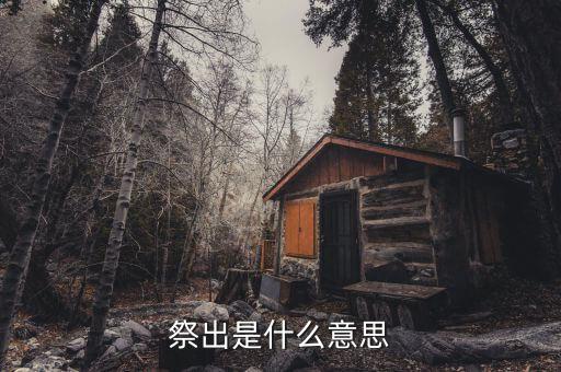 祭出重拳什么意思，重拳是甚么意思