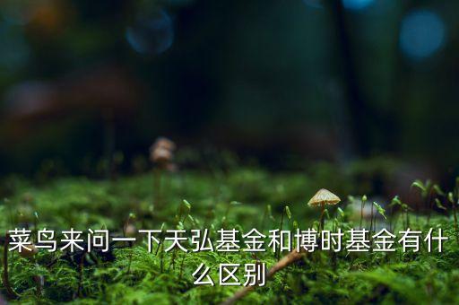 菜鳥(niǎo)來(lái)問(wèn)一下天弘基金和博時(shí)基金有什么區(qū)別