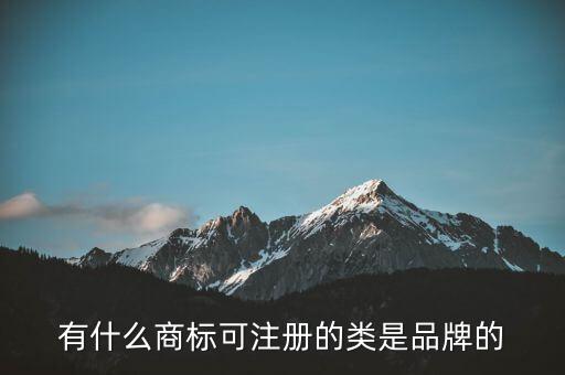 劉陽(yáng)的全盛集團(tuán)的注冊(cè)商標(biāo)是什么，有什么商標(biāo)可注冊(cè)的類是品牌的