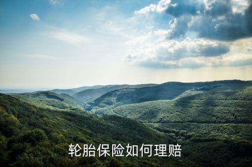 輪胎保險如何理賠
