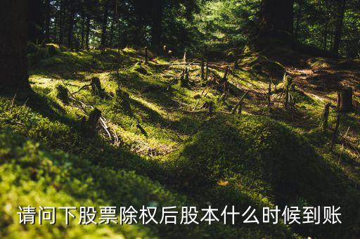 請問下股票除權(quán)后股本什么時候到賬