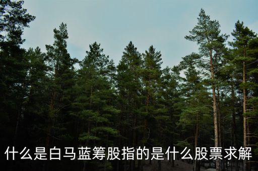 什么是白馬藍(lán)籌股，什么是白馬藍(lán)籌股