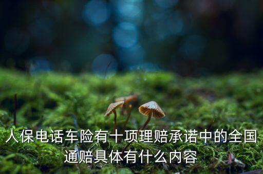 人保電話車險有十項理賠承諾中的全國通賠具體有什么內(nèi)容