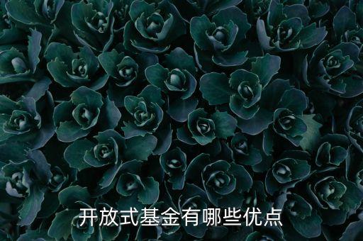 開放式基金有哪些優(yōu)點(diǎn)