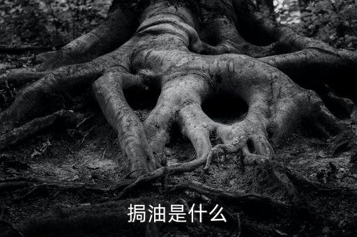 粵油是什么，輕質(zhì)油在炒原油里的什么油比如什么大連油粵油