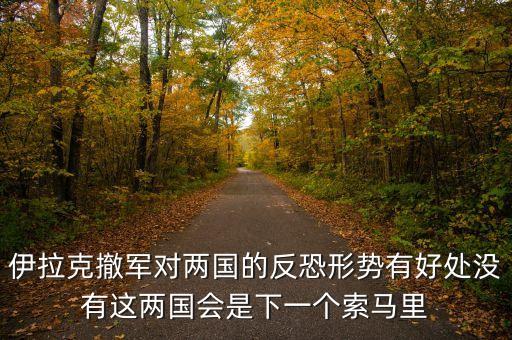 伊拉克撤軍對兩國的反恐形勢有好處沒有這兩國會是下一個索馬里