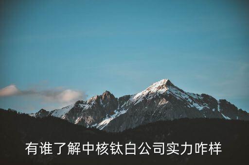 中核太白是什么企業(yè)，有誰了解中核鈦白公司實力咋樣