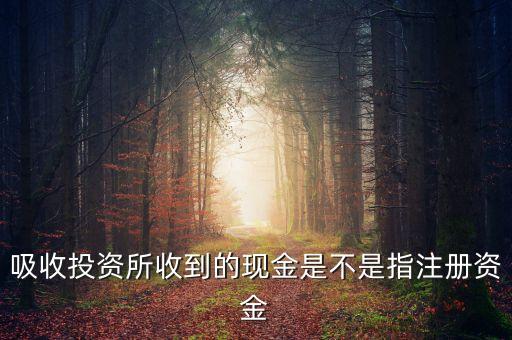 吸收投資所收到的現(xiàn)金是不是指注冊(cè)資金