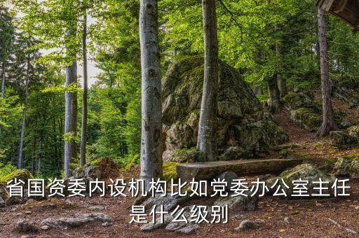 省國資委內設機構比如黨委辦公室主任是什么級別