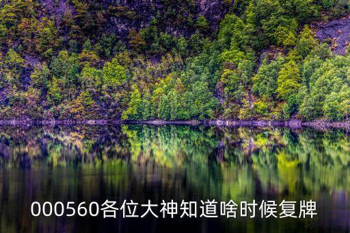 000560各位大神知道啥時(shí)候復(fù)牌